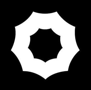 9TH SERVICE CORPS STAR - 15 INCH